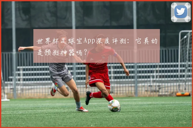 世界杯足球宝App深度评测：它真的是预测神器吗？