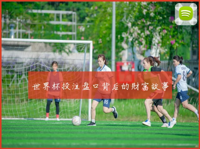 世界杯投注盘口背后的财富故事