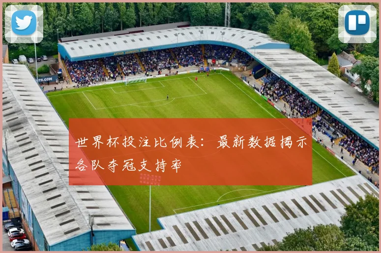 世界杯投注比例表：最新数据揭示各队夺冠支持率