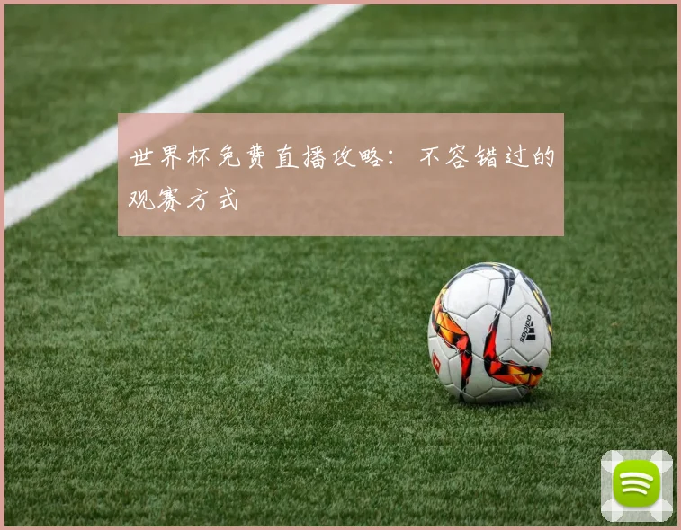 世界杯免费直播攻略:不容错过的观赛方式