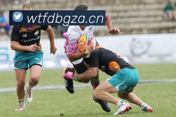 九游官网登录入口APP 封面图